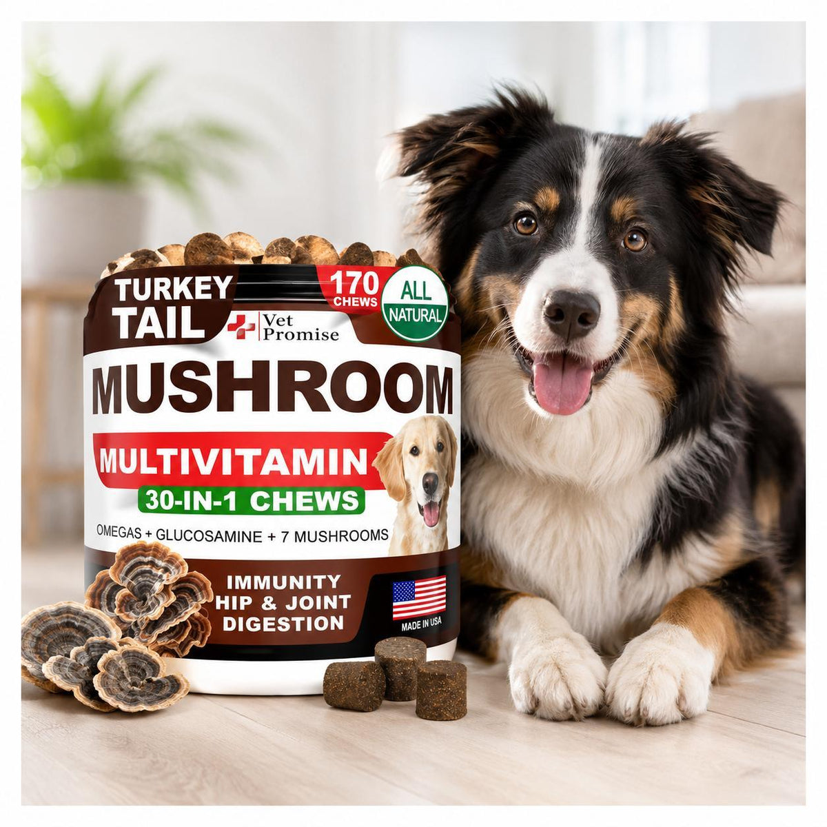 Turkey Tail Mushroom Supplement Chews for Dogs