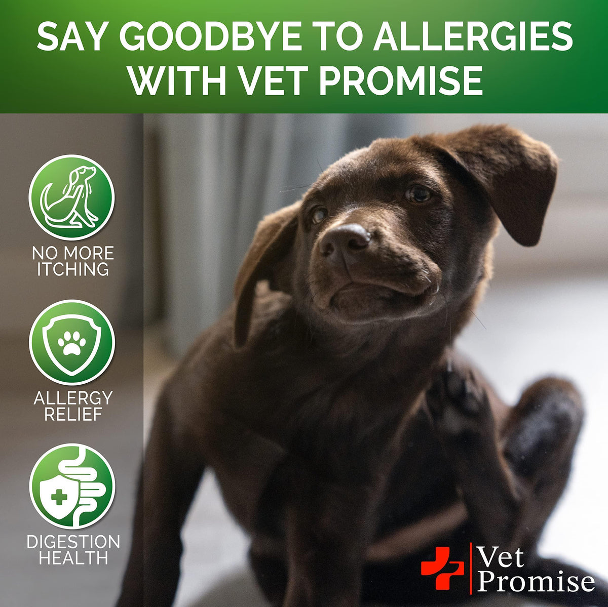 Dog Allergy Chews for Itch Relief