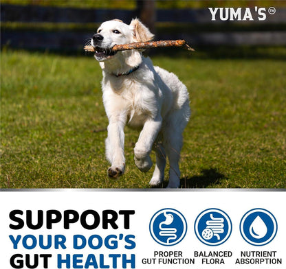 Dog Probiotic Chews with Digestive Enzymes