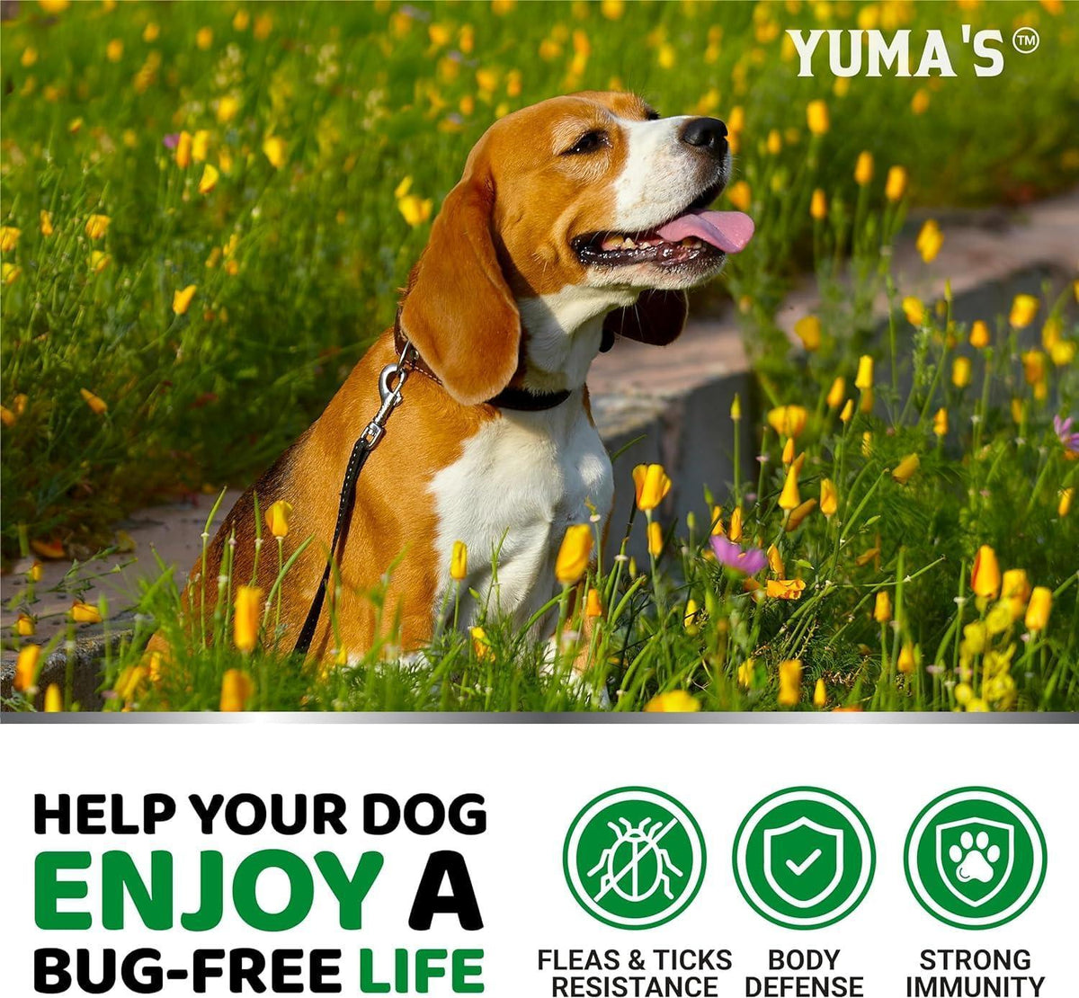 Natural Flea & Tick Chews for Dogs – 2 Pack