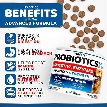 Dog Probiotic Chews with Digestive Enzymes