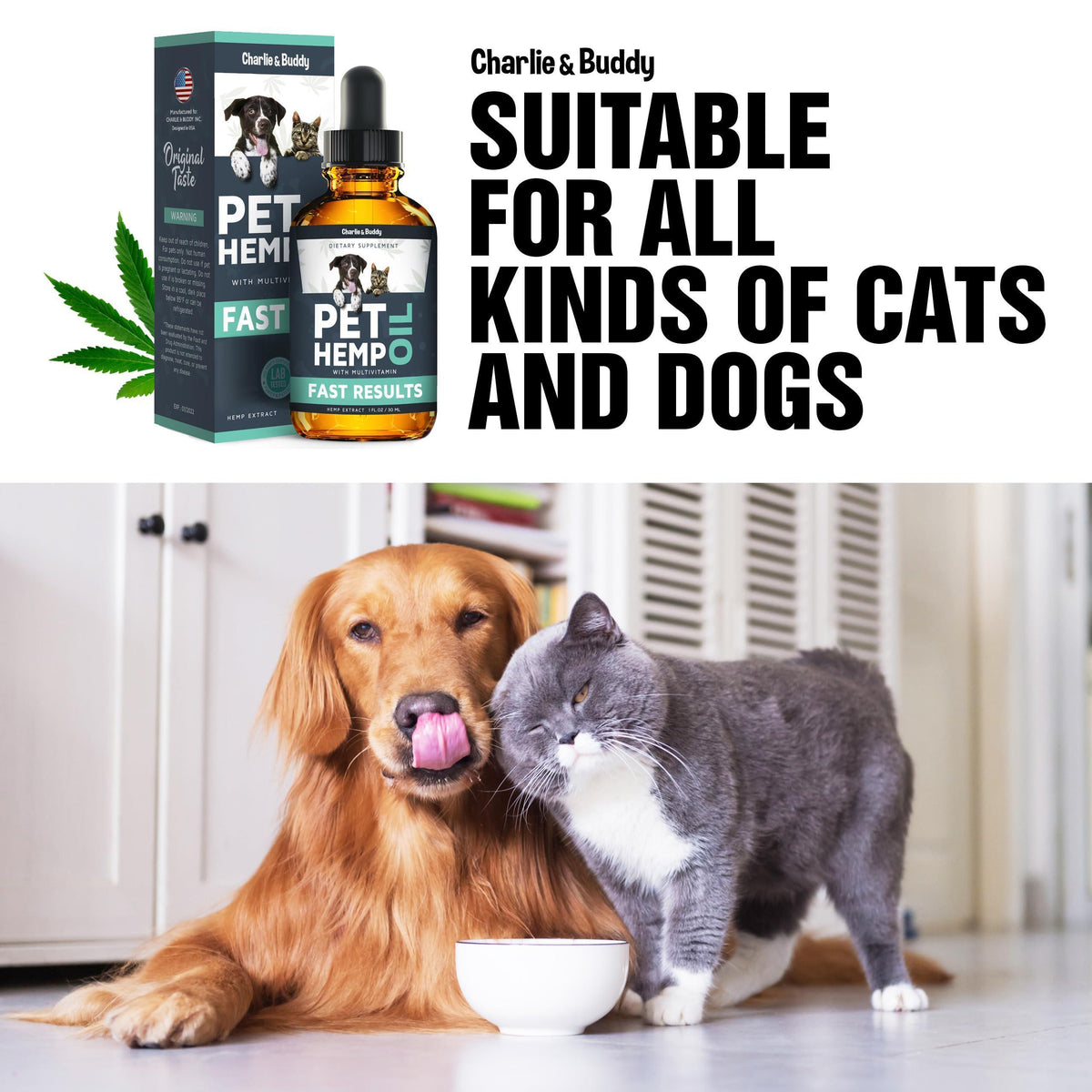 Hemp Oil for Dogs & Cats – Calming Support