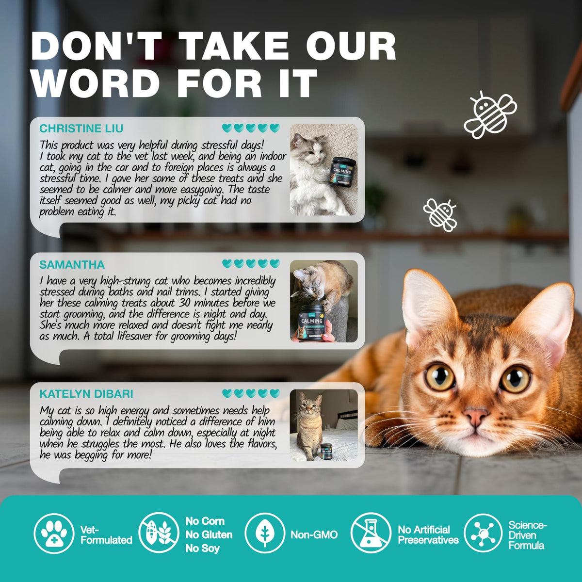 Calming Cat Vitamins & Treats for Anxiety