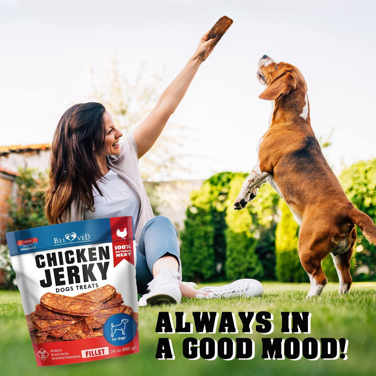 Chicken Jerky Dog Treats – Natural High Protein