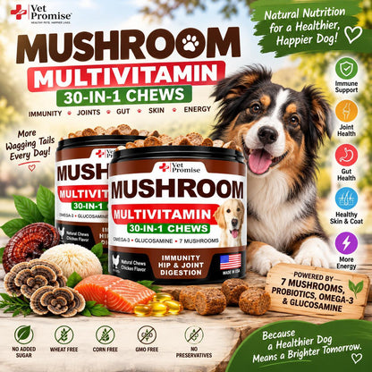 Mushroom Supplement for Dogs – 340 Chews
