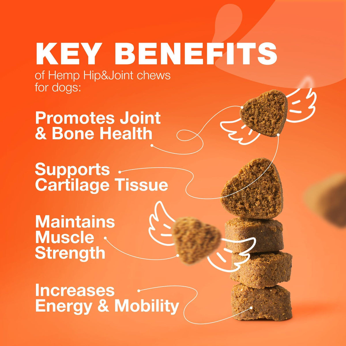 Glucosamine Chondroitin Joint Chews for Dogs