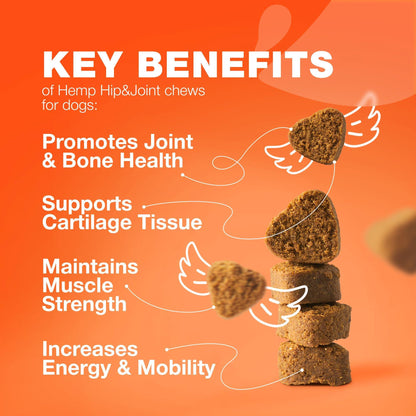 Glucosamine Chondroitin Joint Chews for Dogs