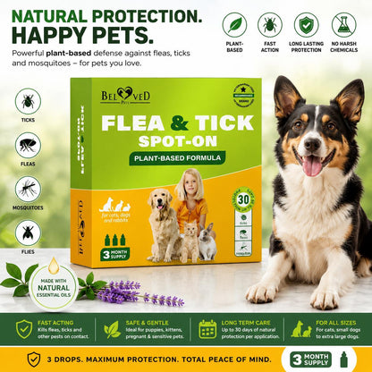 Natural Flea Tick Prevention for Cats & Dogs