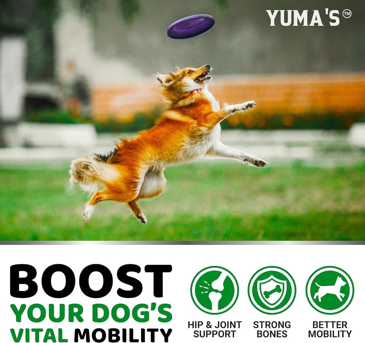 Glucosamine for Dogs – 2 Pack
