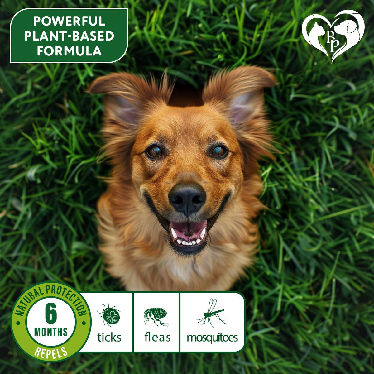 Natural Flea & Tick Collar for Dogs