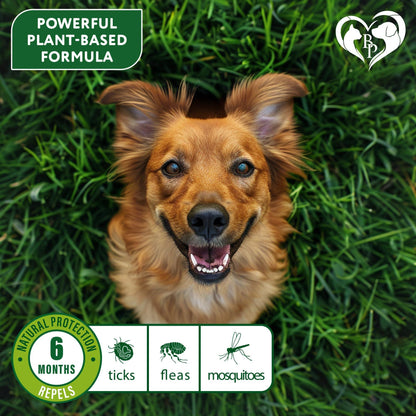 Natural Flea & Tick Collar for Dogs