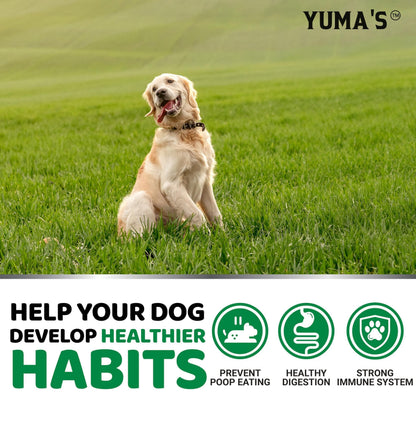 No Poo Chews for Dogs, 170 Ct