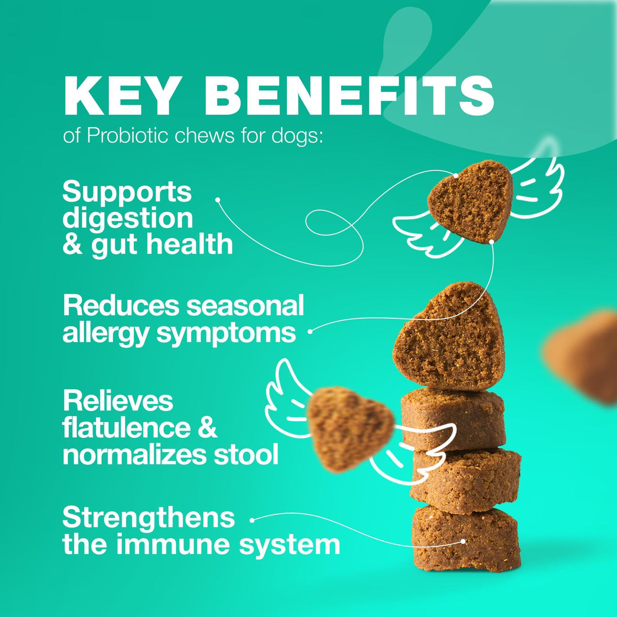 Dog Probiotic Chews for Gut Health & Digestion