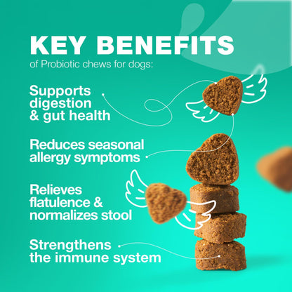 Dog Probiotic Chews for Gut Health & Digestion