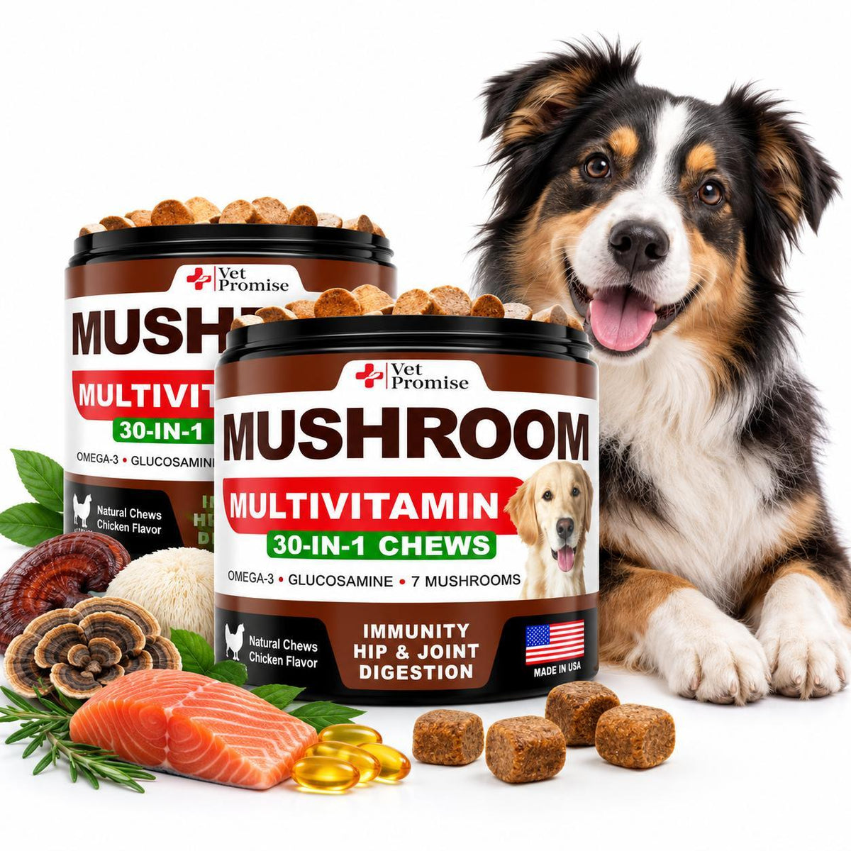 Mushroom Supplement for Dogs – 340 Chews