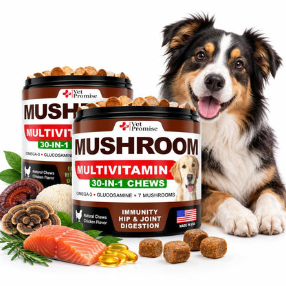 Mushroom Supplement for Dogs – 340 Chews