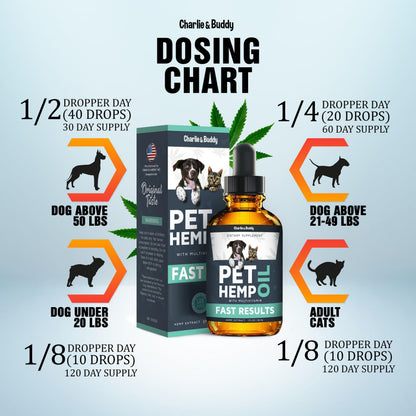 Hemp Oil for Dogs & Cats – Calming Support