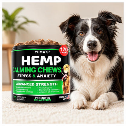 YUMA'S Hemp Calming Chews for Dogs