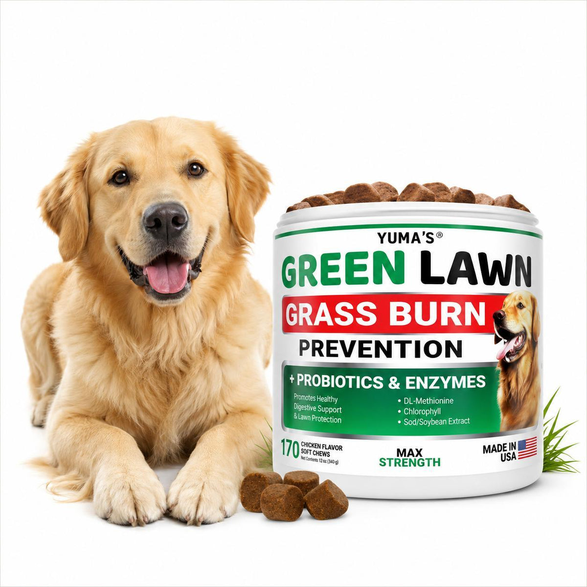 Green Lawn Chews for Dogs Gut Health