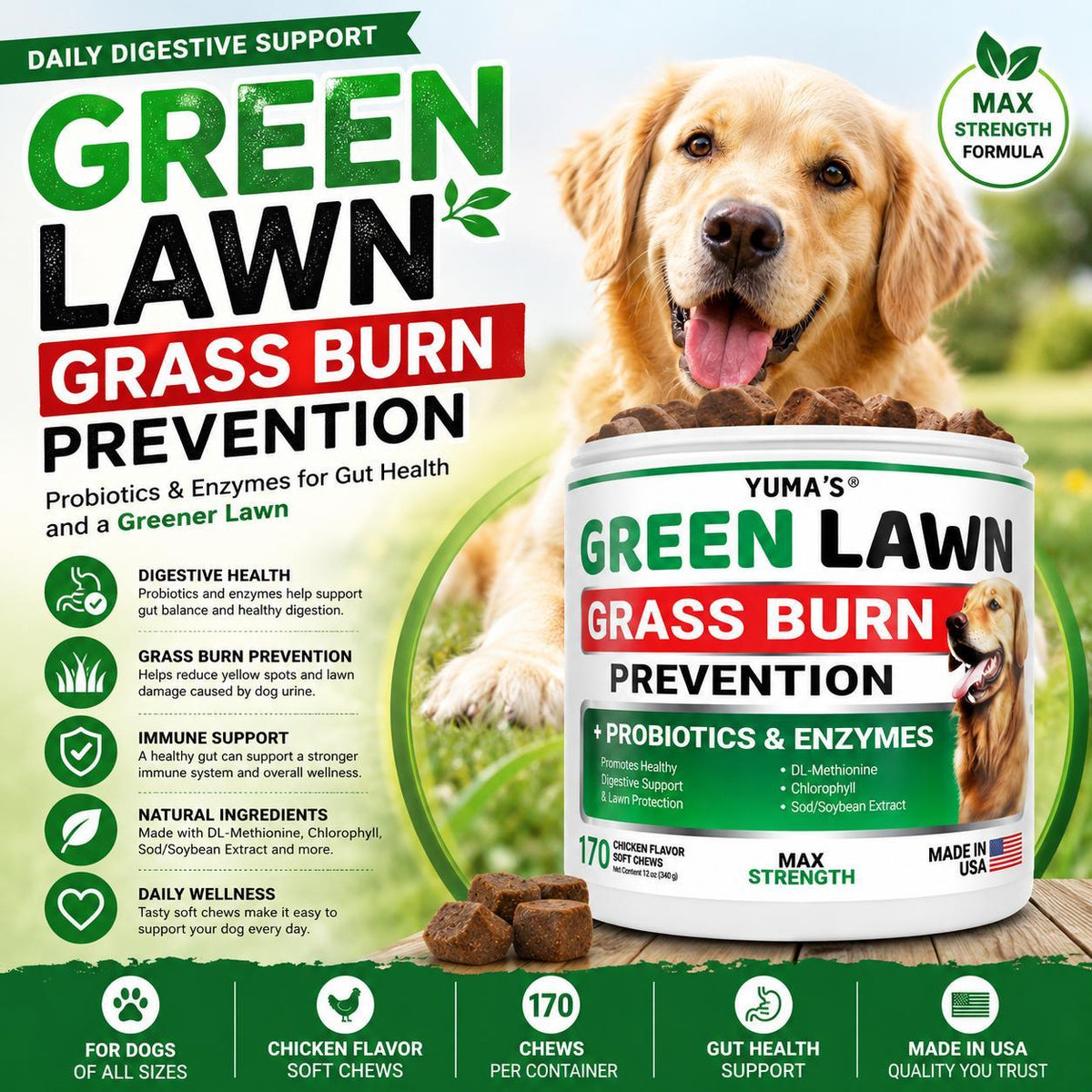 Green Lawn Chews for Dogs Gut Health