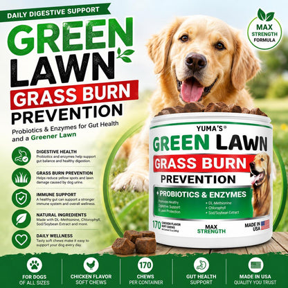 Green Lawn Chews for Dogs Gut Health