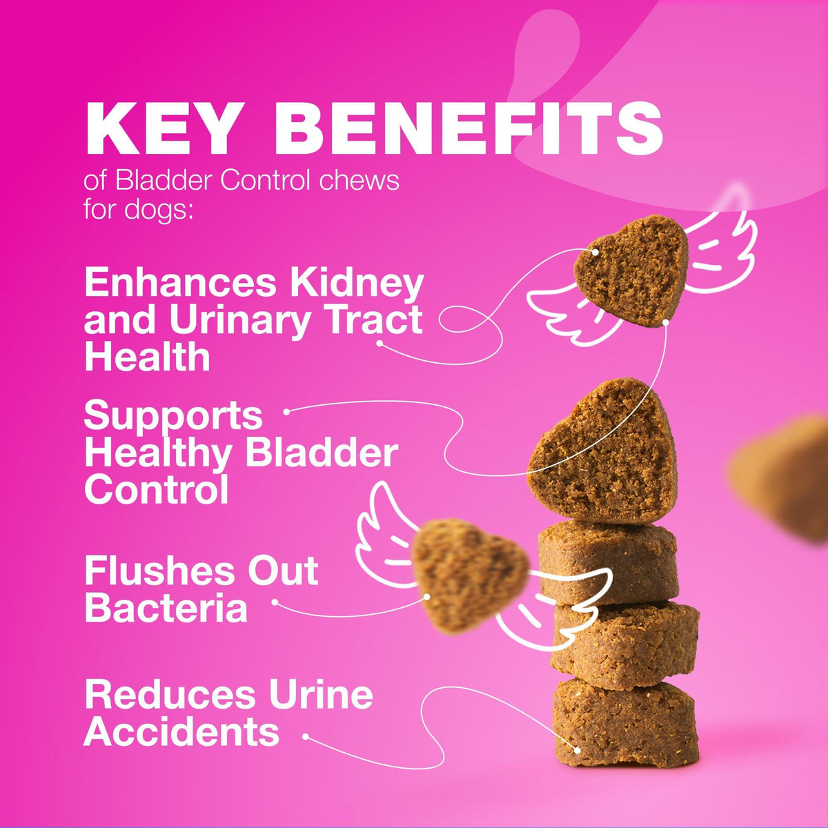 Dog UTI Cranberry Chews for Bladder Support