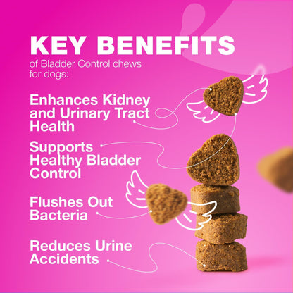 Dog UTI Cranberry Chews for Bladder Support