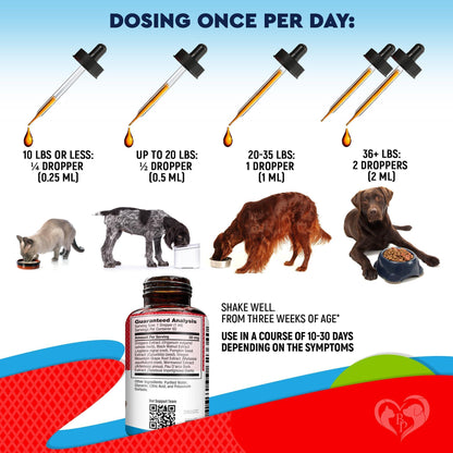 Cats & Dogs Herbal Dewormer Drops – USA Made