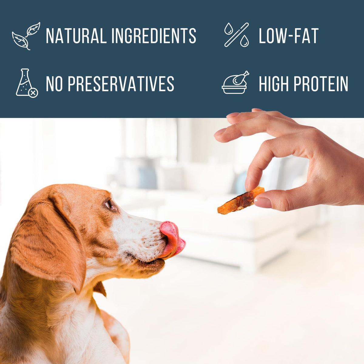 Organic Chicken Jerky Dog Treats – Grain Free
