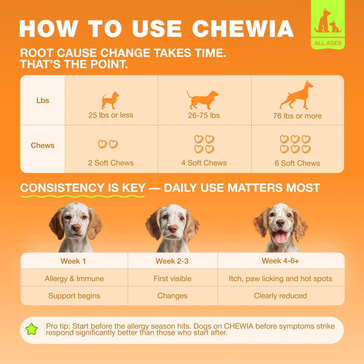 Dog Allergy Relief Chews for Itchy Skin