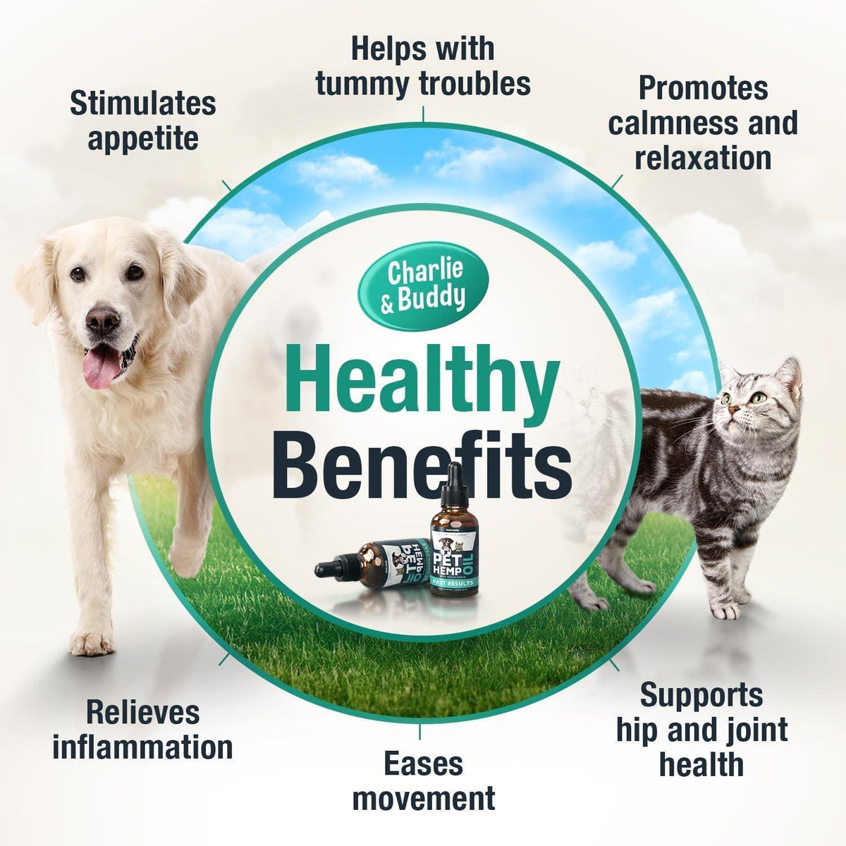 Hemp Oil for Dogs & Cats Anxiety Relief