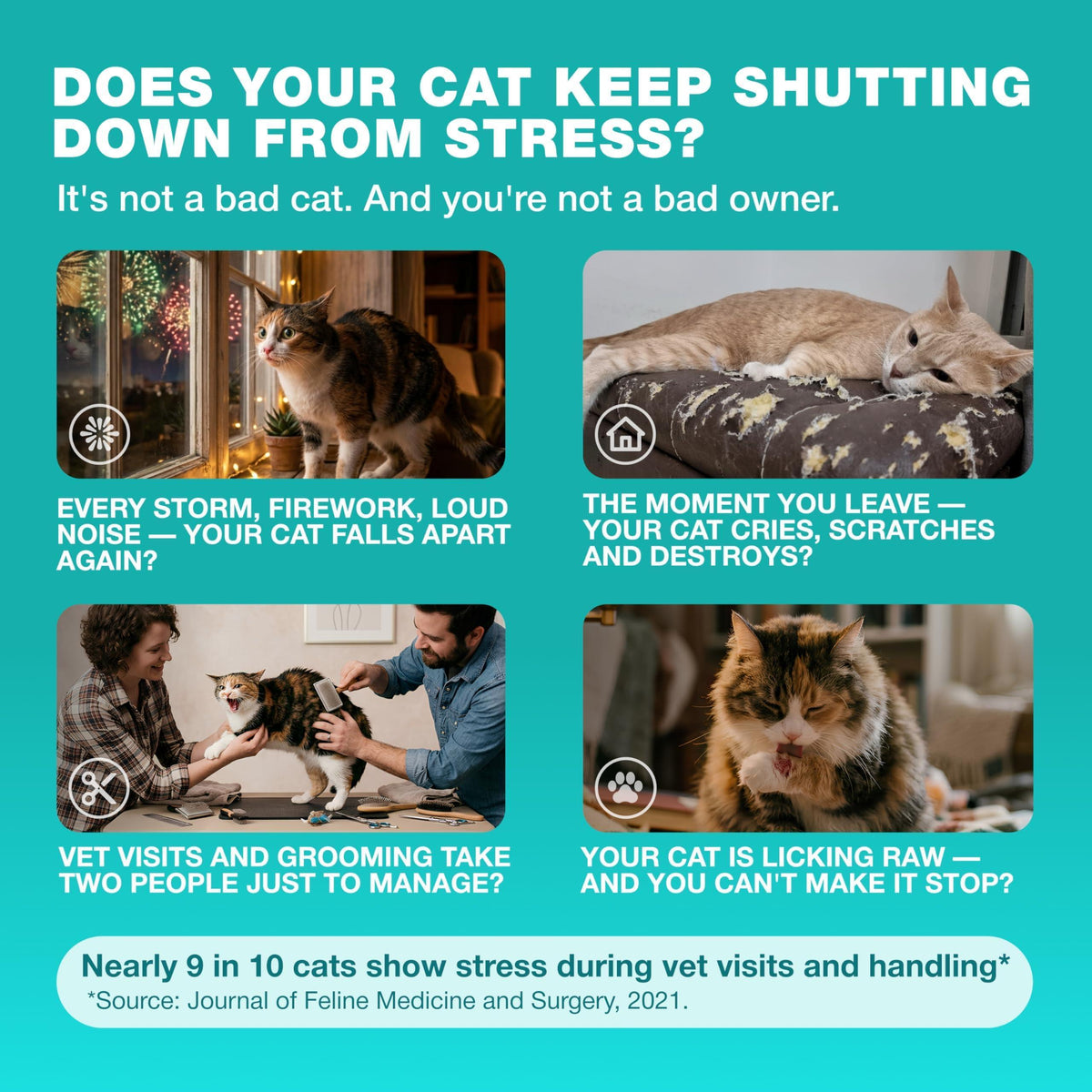 Calming Cat Vitamins & Treats for Anxiety