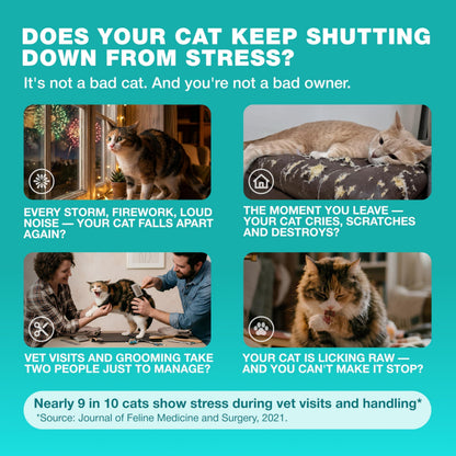 Calming Cat Vitamins & Treats for Anxiety
