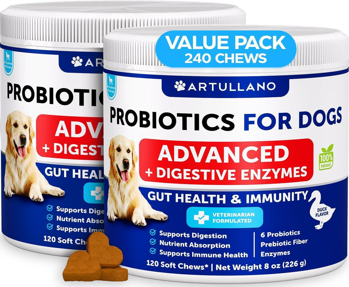 Dog Probiotic Chews for Gut Health & Immunity