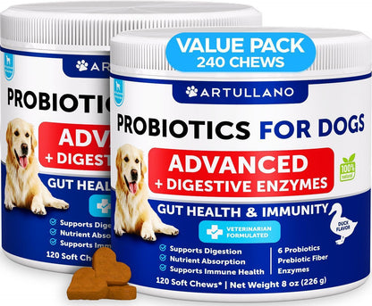 Dog Probiotic Chews for Gut Health & Immunity