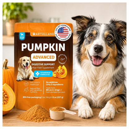 Pumpkin Powder for Dogs Digestive Support
