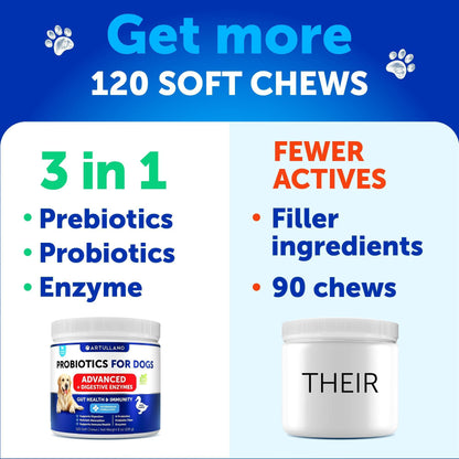 Dog Probiotic Chews for Gut Health & Immunity