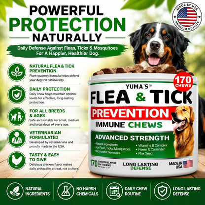 Natural Flea & Tick Chews for Dogs – 170 Treats