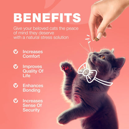 Natural Cat Flea and Tick Supplement Chews