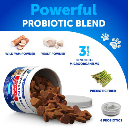 Dog Probiotic Chews for Gut Health & Immunity