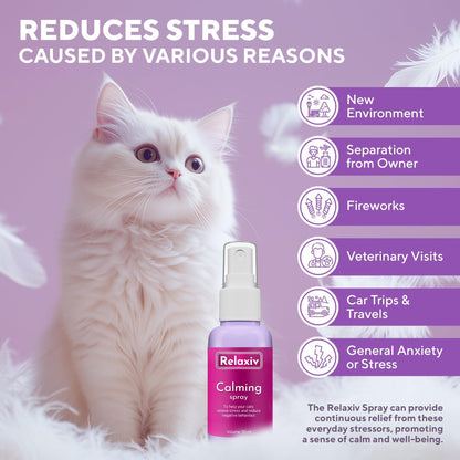 Calming Pheromone Spray for Cats – Scratch & Stress Relief
