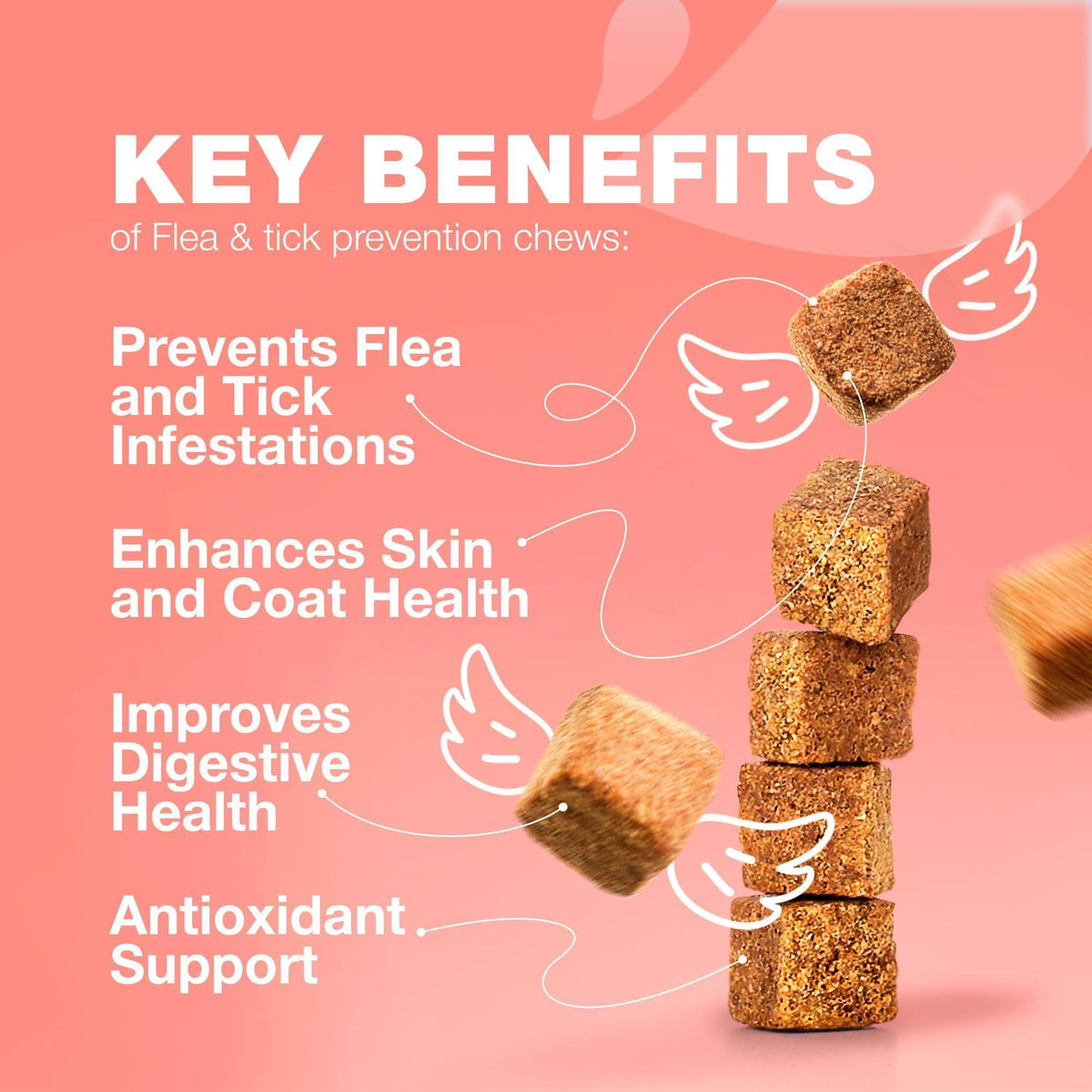 Daily Oral Flea & Tick Chews for Cats