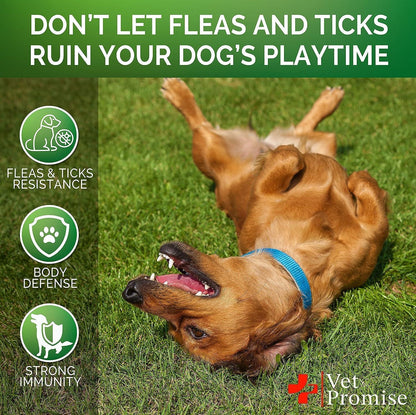 2-Pack Flea & Tick Prevention Chewables for Dogs