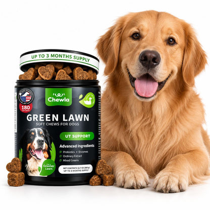 Grass Burn Spot Chews for Dogs – Lawn Saver