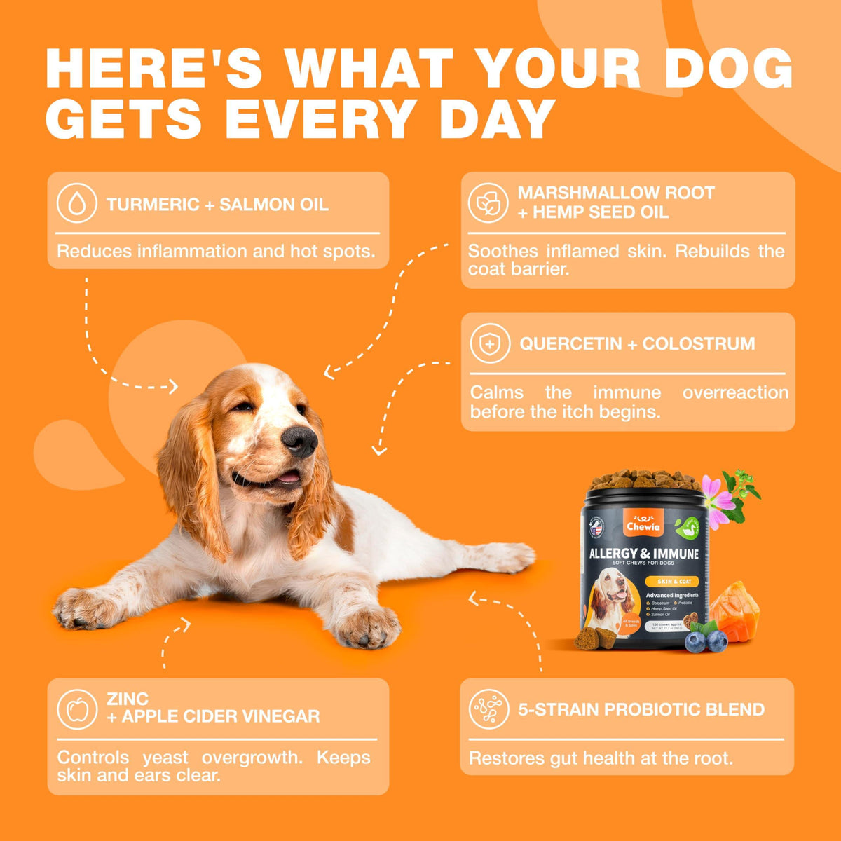 Dog Allergy Relief Chews for Itchy Skin