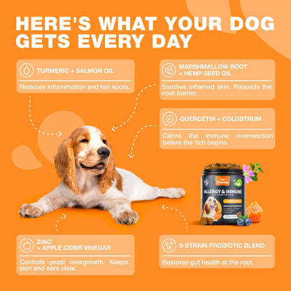 Dog Allergy Relief Chews for Itchy Skin