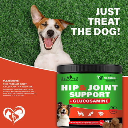 Dog Hip & Joint Supplements for Senior Dogs