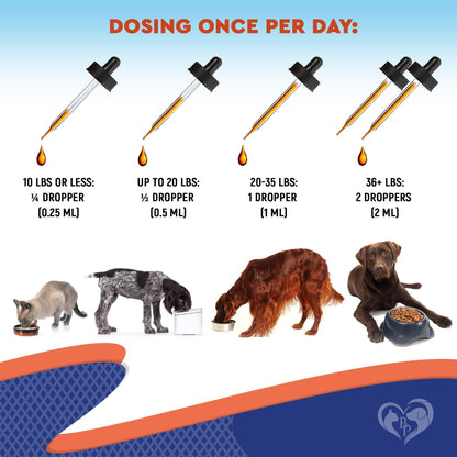 Probiotics & Prebiotics for Dogs & Cats