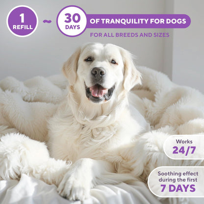 Beloved Pets Dog Calming Pheromone Diffuser Refill 2 Pack