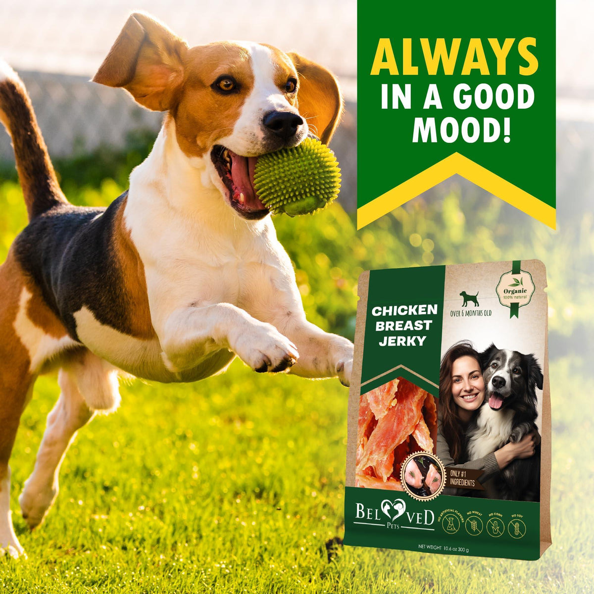 Chicken Jerky Dog Treats, Grain-Free High Protein
